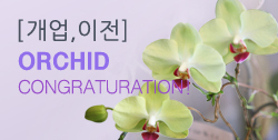 뵵 īװ #3